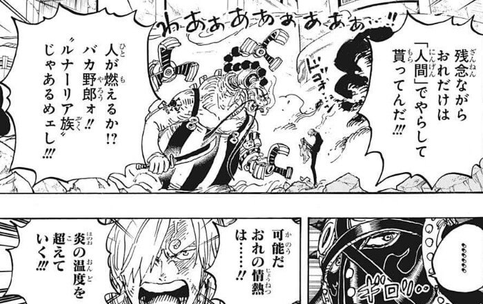 One Piece 1023話 瓜二つ のネタバレ感想 考察まとめ ゾロとリューマの関係性とは ワンピース 漫画考察ブログ シンドーログ