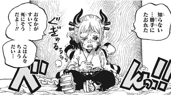 One Piece 1024話 某 なにがし のネタバレ感想 考察まとめ ヤマトの過去 霜月牛丸との関係は ワンピース 漫画考察ブログ シンドーログ