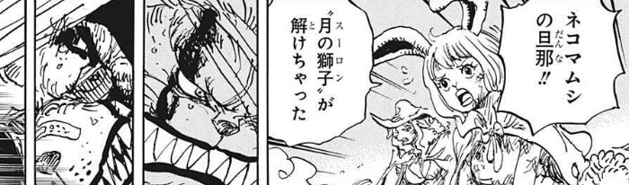 ONEPIECE1026話スーロンが解ける