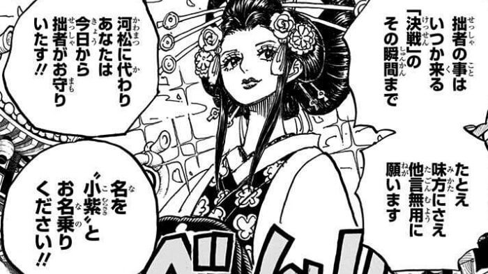 One Piece 1032話のネタバレ感想 考察まとめ オロチの前に小紫が現れる ワンピース 漫画考察ブログ シンドーログ