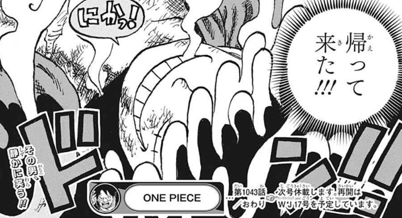 ワンピース ルフィ ジョイボーイが確定 ニカ ゴムゴムの実との繋がりまとめ One Piece 漫画考察ブログ シンドーログ