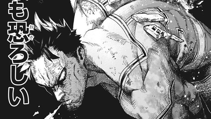 人気大割引 僕のヒーローアカデミア ヒロアカ36巻全巻 関連本12冊 全巻セット Fernandophfarias Com