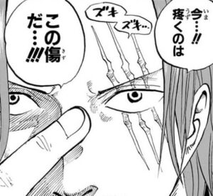 ワンピースネタバレ シャンクスの本名 天竜人の血筋と判明 覇気の強さ 能力考察 One Piece 漫画考察ブログ シンドーログ