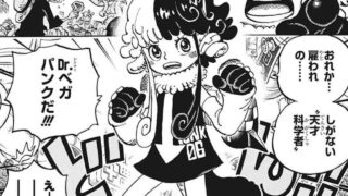 One Piece 漫画考察ブログ シンドーログ