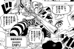 ONEPIECE1080話ひばり