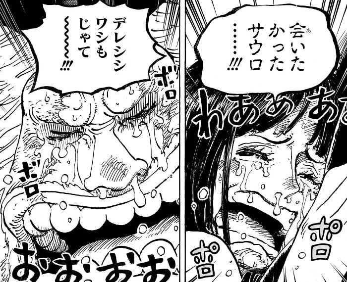ワンピース 1〜105巻 最適な価格 ワンピース1から105まで 付け足さ 少年漫画 - 少年漫画